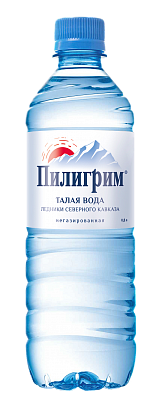 Вода Пилигрим 0.5 литра негазированная (ПЭТ) Вода Пилигрим 0.5 литра негазированная (ПЭТ)