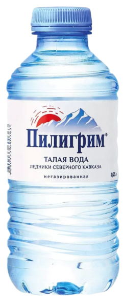 Вода Пилигрим 0.25 литра негазированная (ПЭТ) Вода Пилигрим 0.25 литра негазированная (ПЭТ)